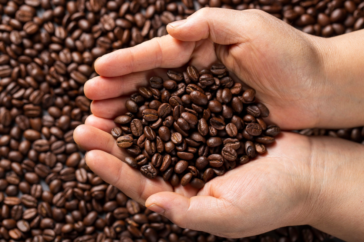 yemeni coffee beans